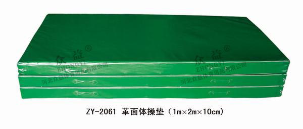 ZY-2061 革面体操垫